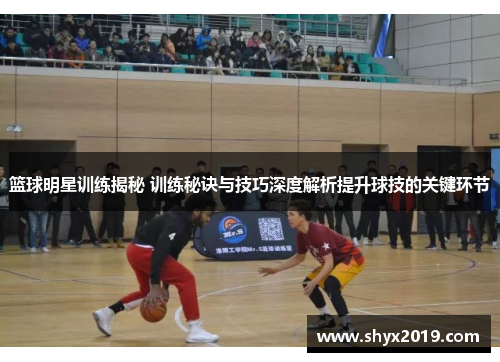 篮球明星训练揭秘 训练秘诀与技巧深度解析提升球技的关键环节